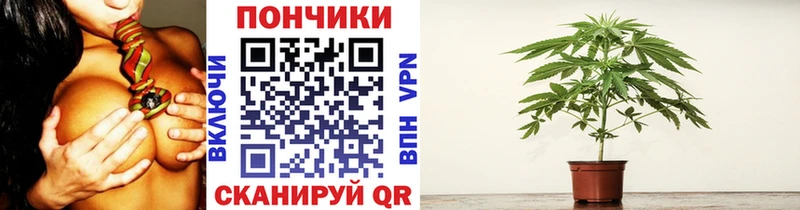 Купить закладку ГАШИШ Меф Онега