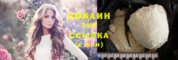 ешки Аркадак
