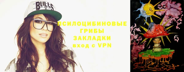 ешки Аркадак